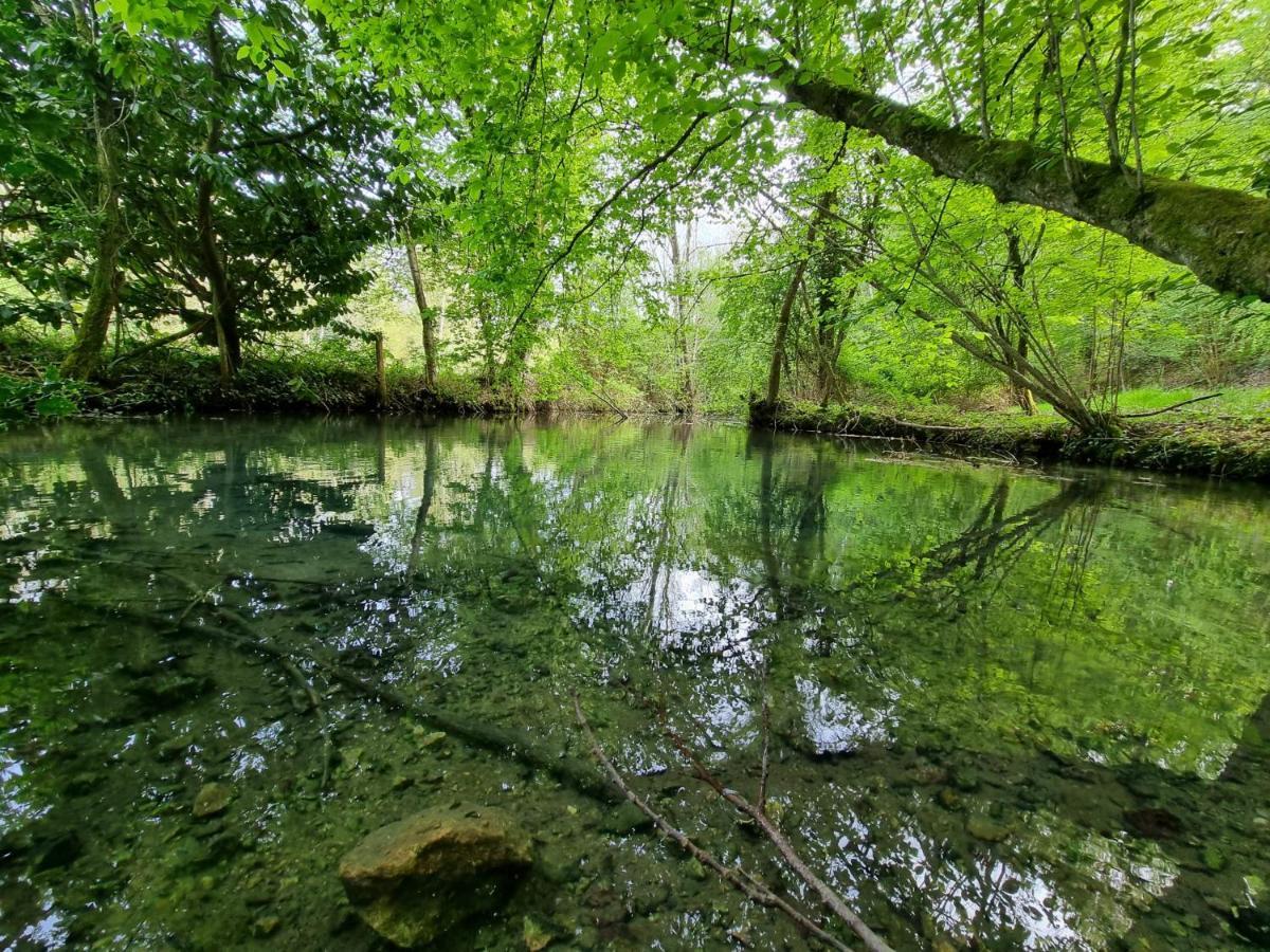Le Domaine Du Cerf - Gites, Nature Et Spa サン・トゥアン・レ・ヴィーニュ エクステリア 写真