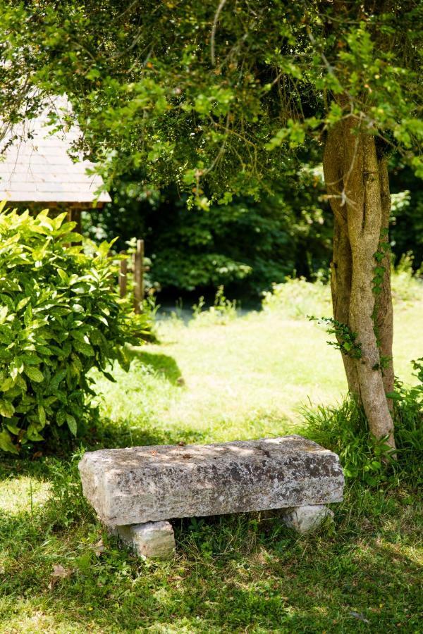 Le Domaine Du Cerf - Gites, Nature Et Spa サン・トゥアン・レ・ヴィーニュ エクステリア 写真